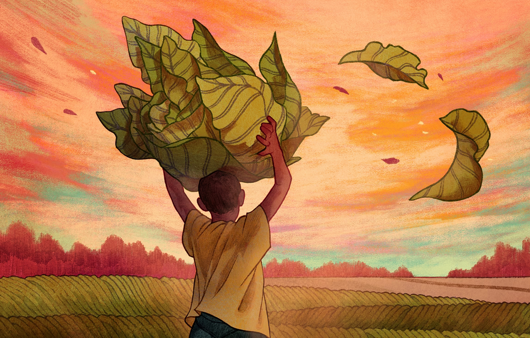 Image Source https://www.theatlantic.com/family/archive/2018/06/child-labor-tobacco/562964/