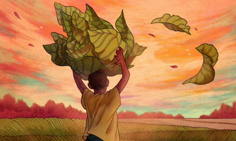 Image Source https://www.theatlantic.com/family/archive/2018/06/child-labor-tobacco/562964/