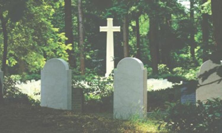 Photo credit: pixels